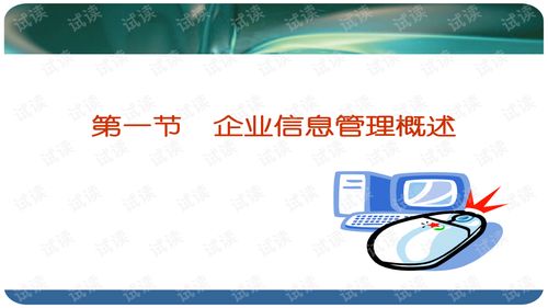 企业信息资源管理ppt it管理文档类资源 csdn下载